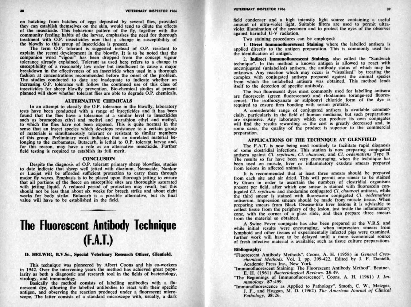 1966 Page 38 39